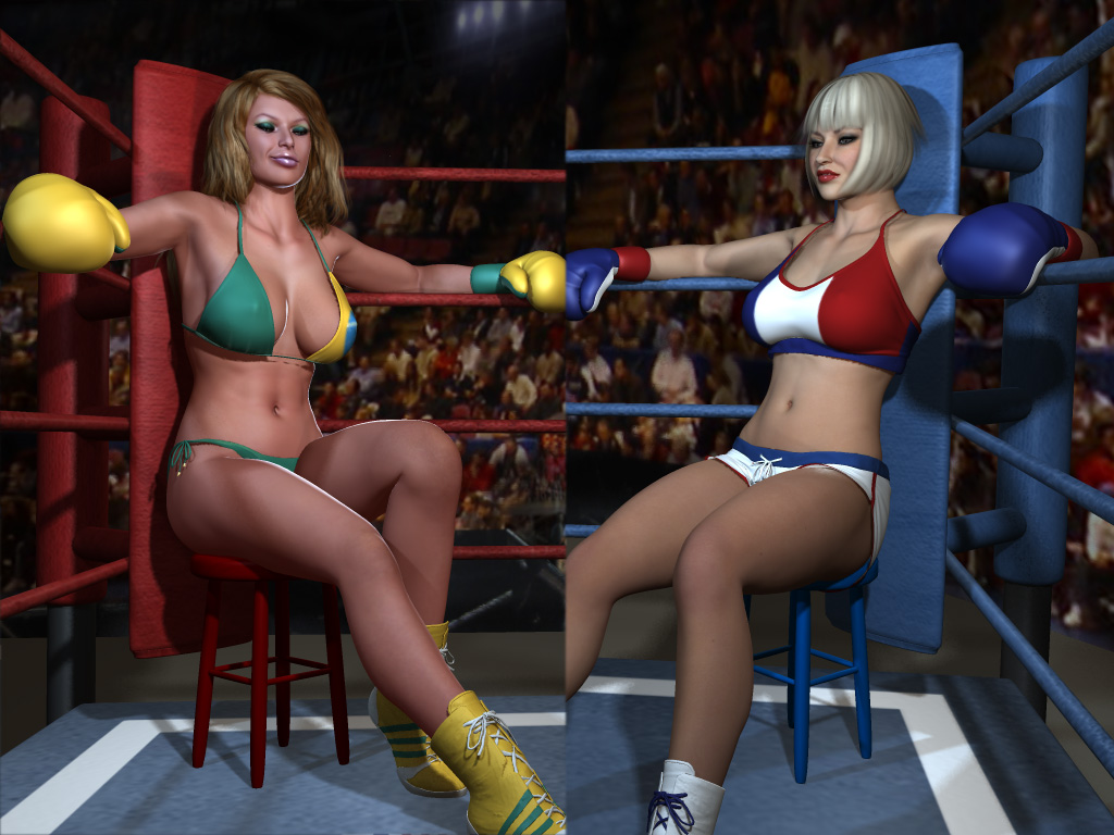 Lingerie catfight fan compilations